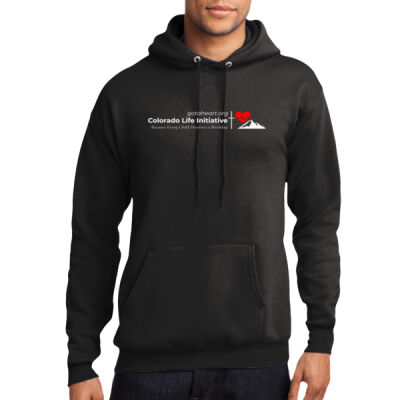 Port & Co Hoodie  Thumbnail
